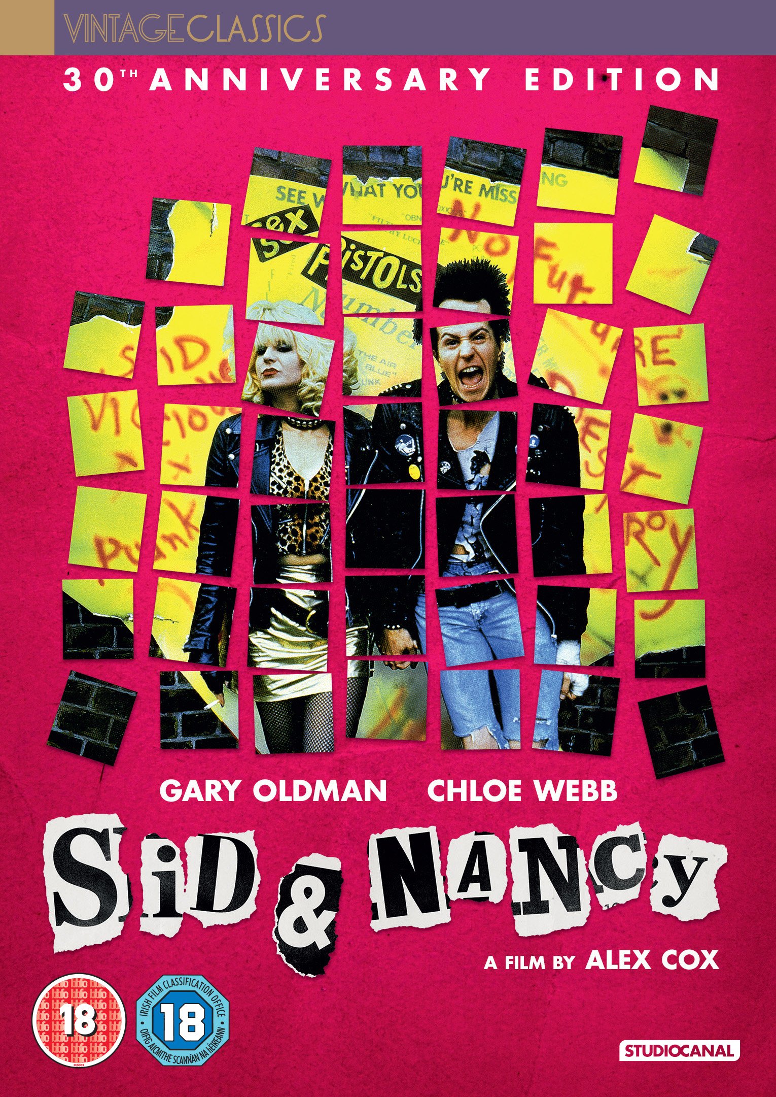 Sid And Nancy: Amazon.co.uk: Gary Oldman, Chloe Webb, David Hayman